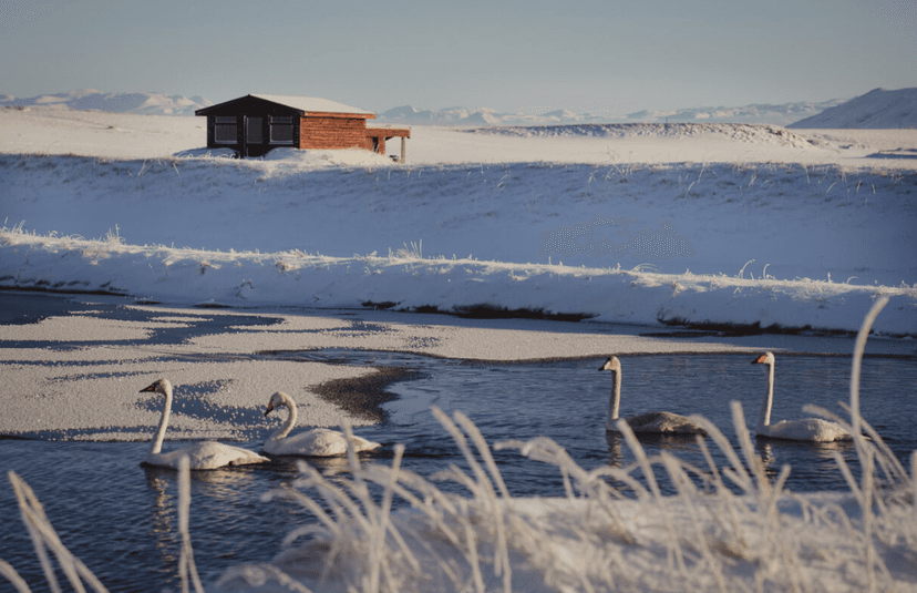 Experience: Iceland's only hotel observatory