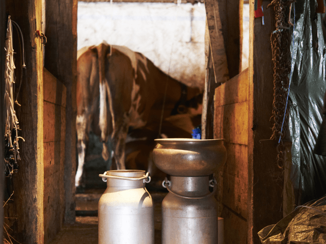 Experience: The organic farm