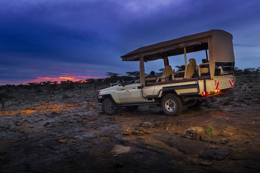 Off-road & night drives