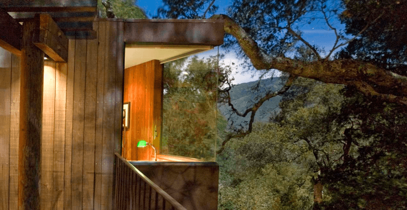Tree Houses