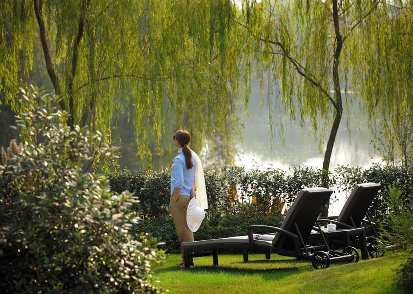 Jiangnan gardens: Lily ponds and willows in the city.