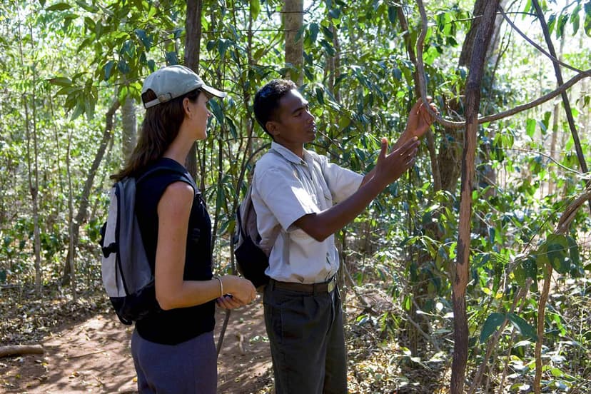 Walk the reserve — the activity/scene in action. 750 hectares of lemurs, birds and rare plants.