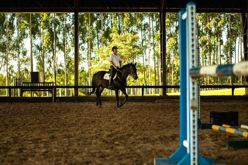 Equestrian centre