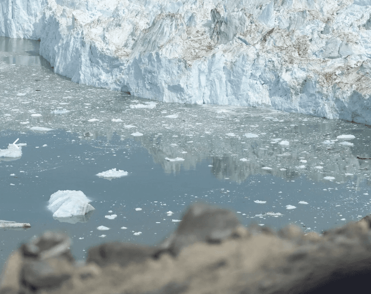 Experience: Disko Bay by boat