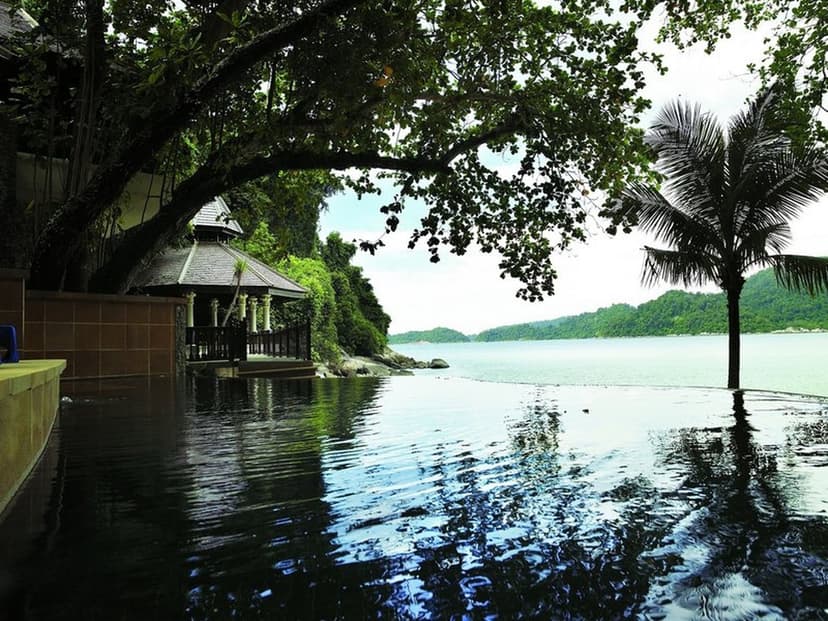 Jungle walks: Hornbills and monkeys, ending with a swim.