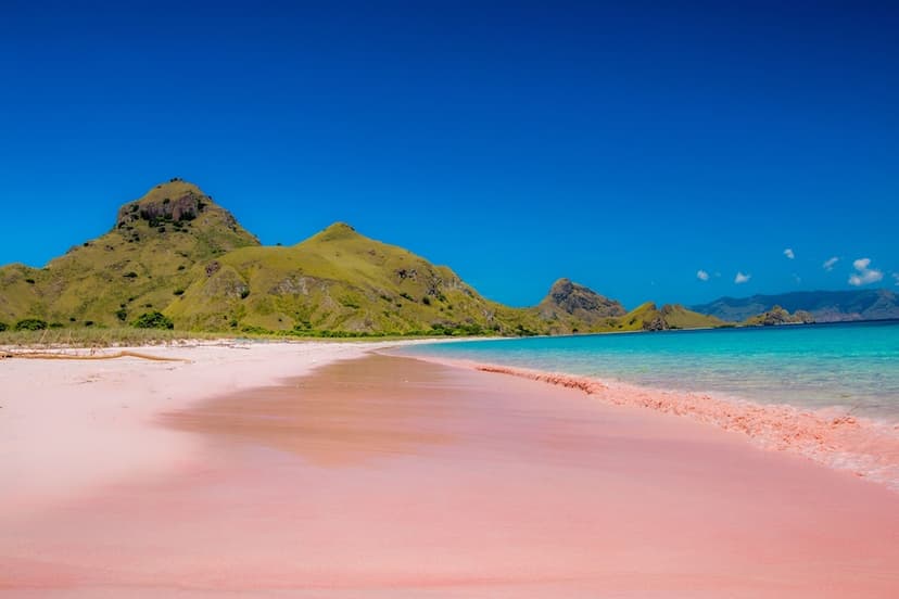 Padar & Pink Beach: And manta rays.