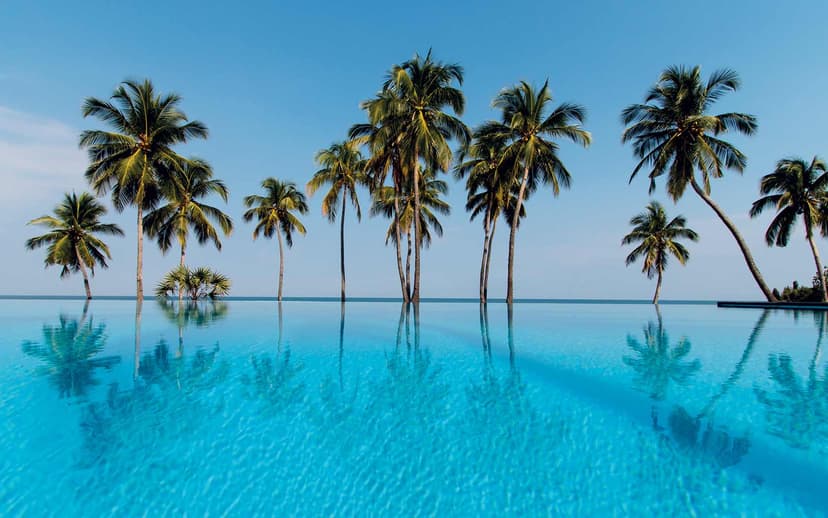Swim the 200-metre pool — the activity/scene in action. One of the region's longest infinity pools.
