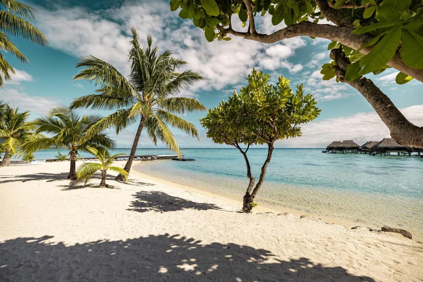 Experience 3: 4×4 island safari