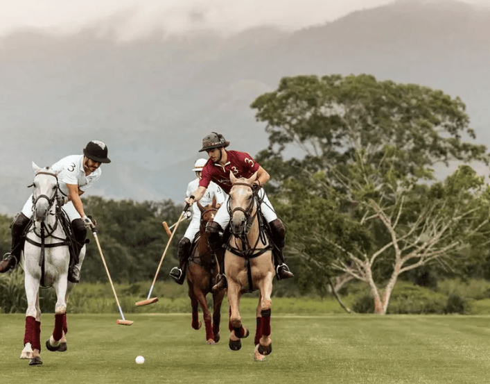 Polo & Equestrian Club
