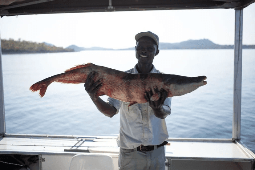 Tiger fishing