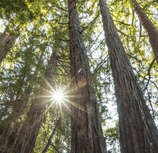 Guided hikes