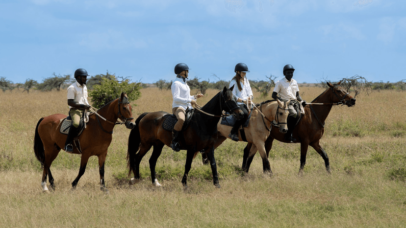 Horseback & camel safaris