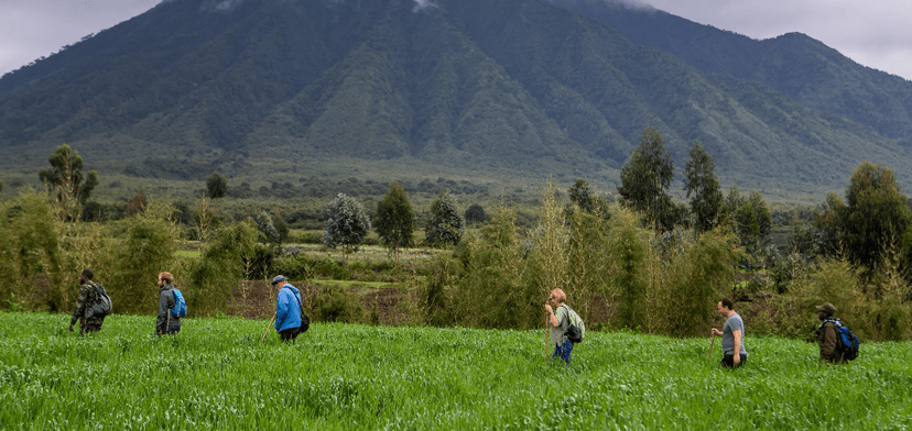 The Dian Fossey hike