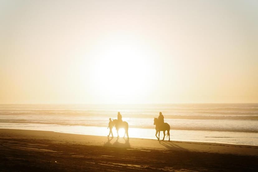 Beach riding