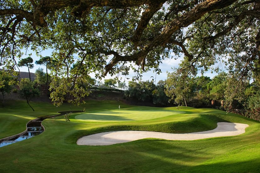 Experience: Dave Thomas golf