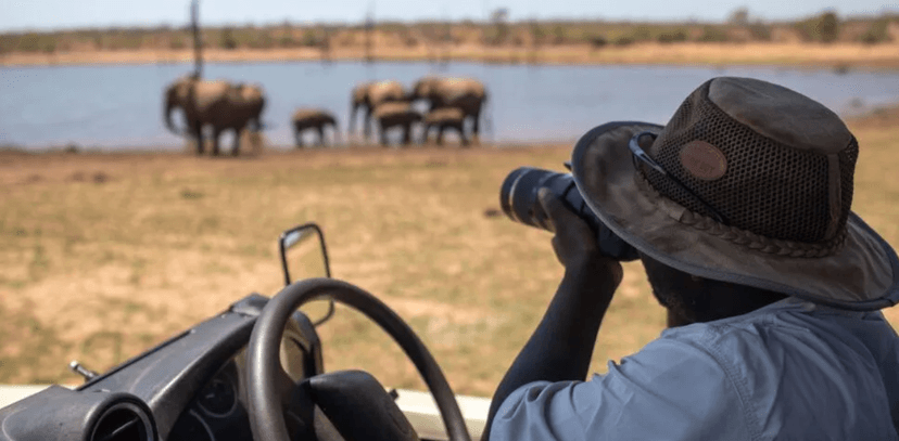 Game drives & walks