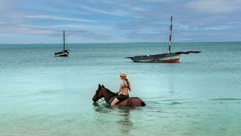Horseback riding