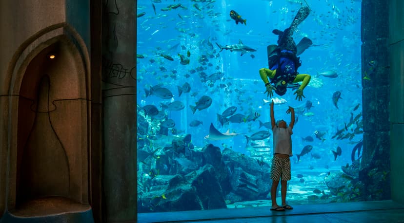 The Lost Chambers Aquarium: 65,000-plus marine animals.