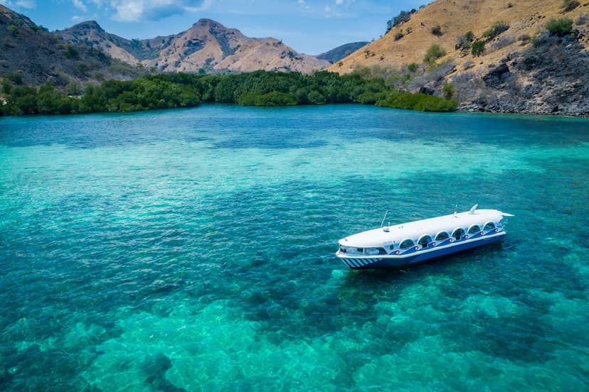Five cruise options: Speedboat, glass-bottom and night cruises.