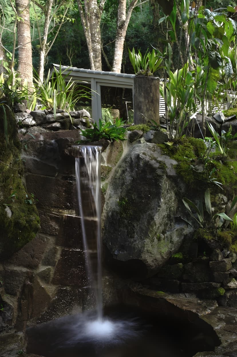 Orchid gardens
