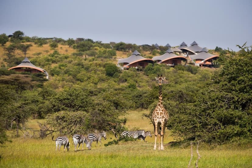 The Great Migration