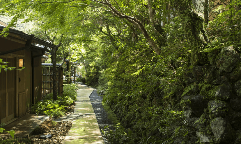 Arashiyama: The bamboo grove, temples and Sagano railway.