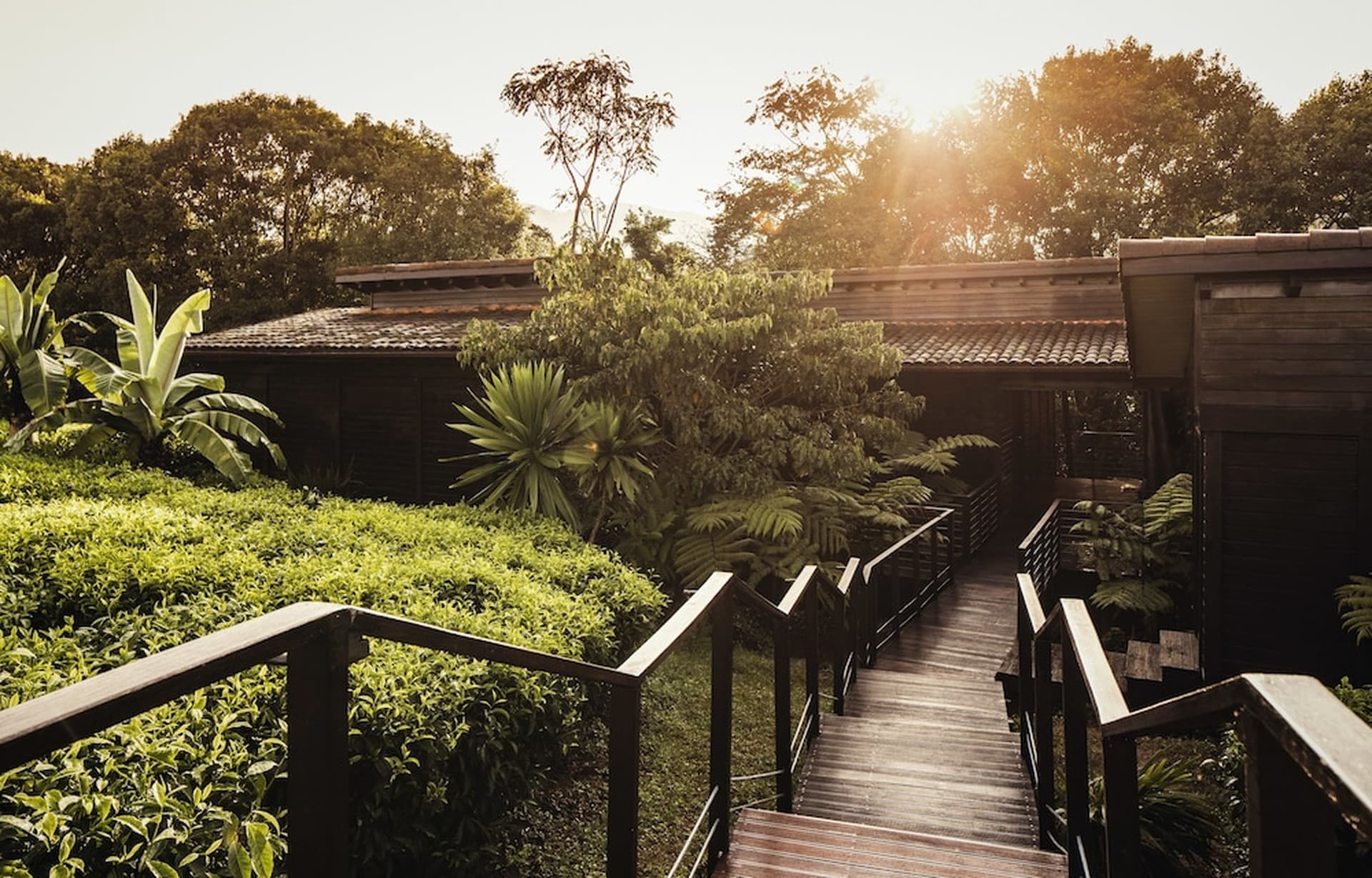 One&Only Nyungwe House gallery