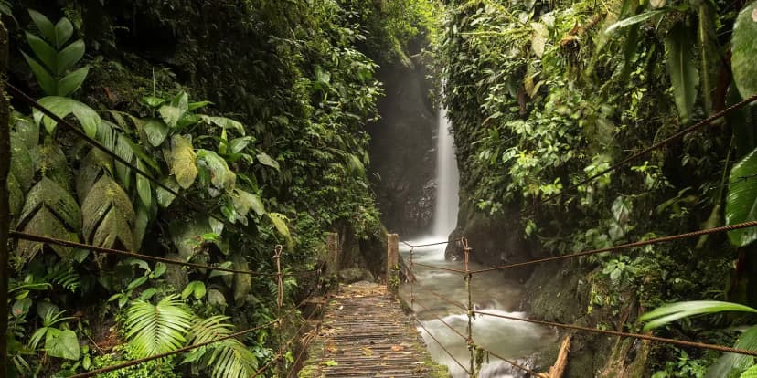 Ecuador: Andean Heritage to Cloud Forest