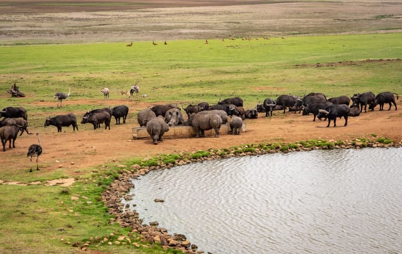 Serengeti & Ngorongoro Circuit