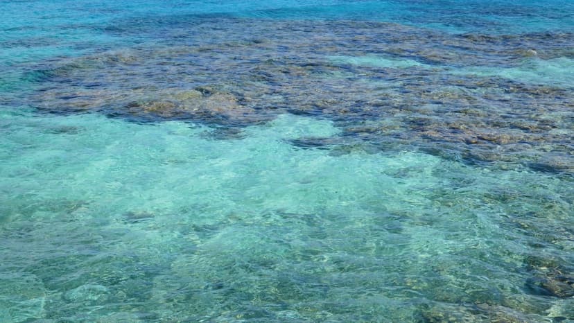 Sydney, Uluru & The Reef