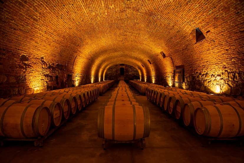 The home of Malbec, with vineyards beneath the snow-capped Andes