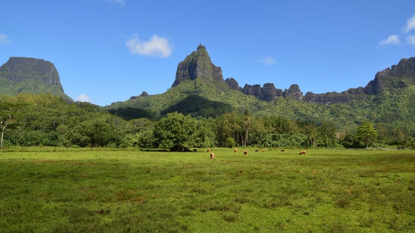 The lush, mountainous main island