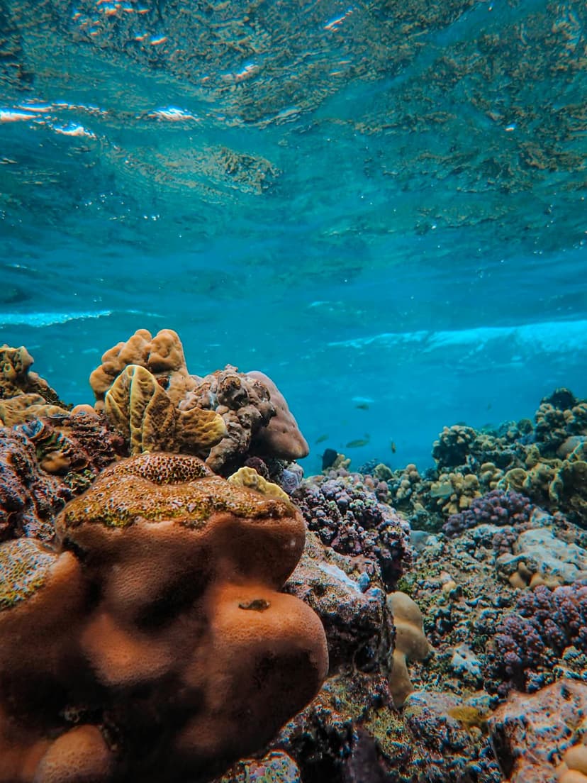 Rangiroa and Fakarava