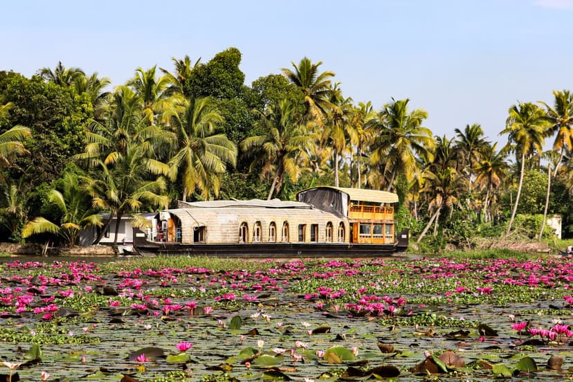 A private houseboat through the palm-fringed waterways of the south, drifting past villages and paddy fields