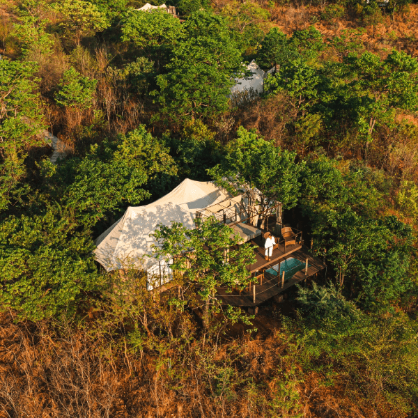 The Elephant Camp