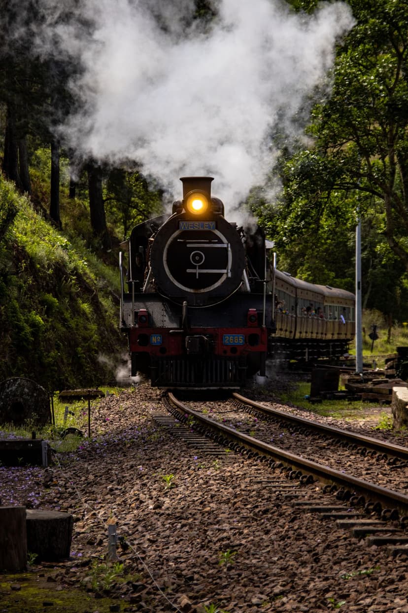 The luxury Rovos Rail and Blue Train, the drama of the Drakensberg, and the option to combine with Victoria Falls or Botswana next door.