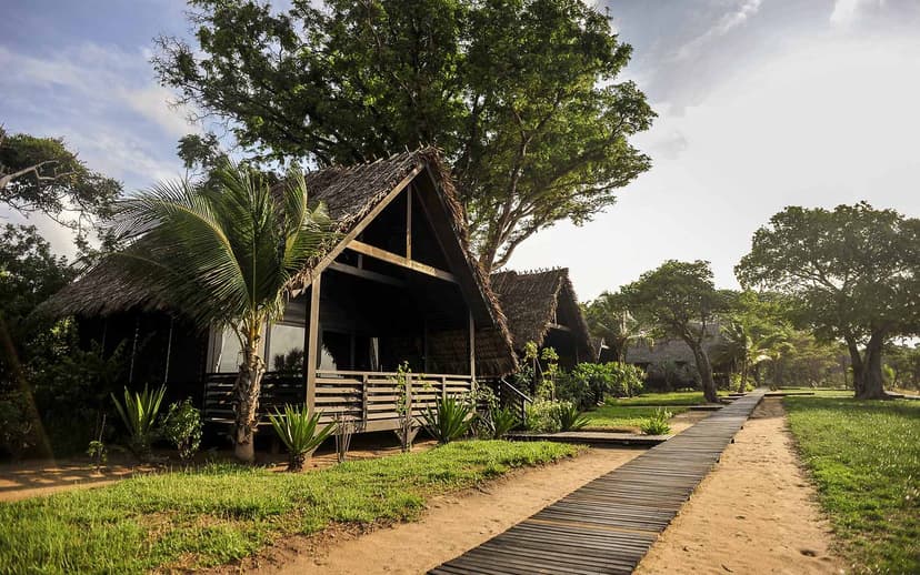 Premium Villa