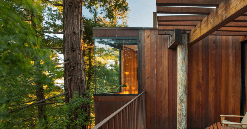 Tree House